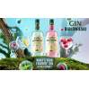 Gin Białowieski Malina Żubrówka 0,7L 37,5%