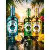 Gin 24 Herbs Mango & Lime 37,5% 0,7 l