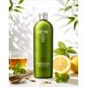 Likier Tatratea Citrus Tea 32% 0,7l
