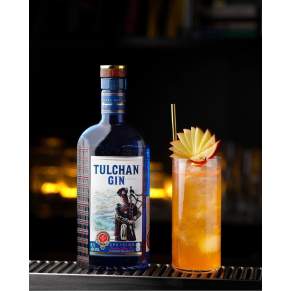 Gin Tulchan London Dry 45% 0,7 l