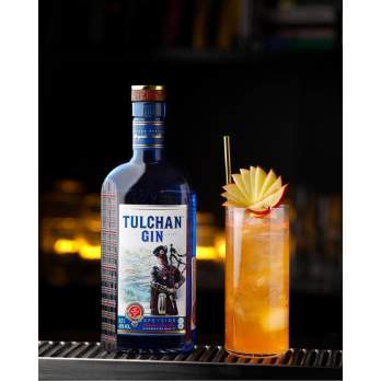 Gin Tulchan London Dry 45% 0,7 l