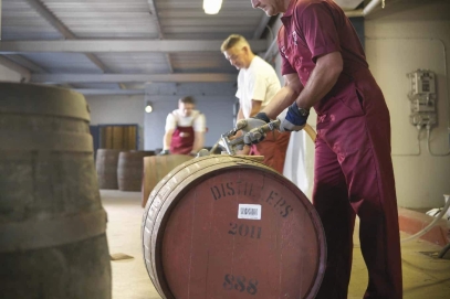 Przegląd marek whisky